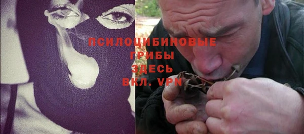 шишки Баксан