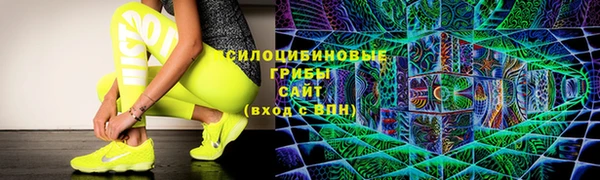 шишки Баксан