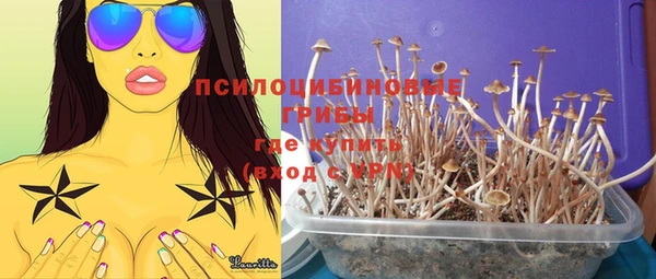 шишки Баксан