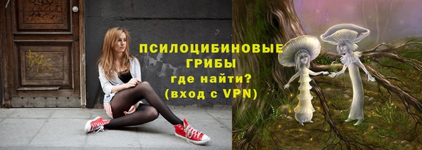 герыч Россошь