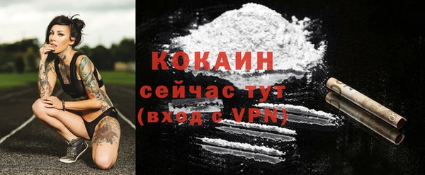 шишки Баксан