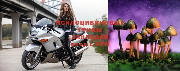 шишки Баксан