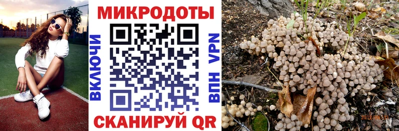 как найти закладки  Лабытнанги  Галлюциногенные грибы Cubensis 